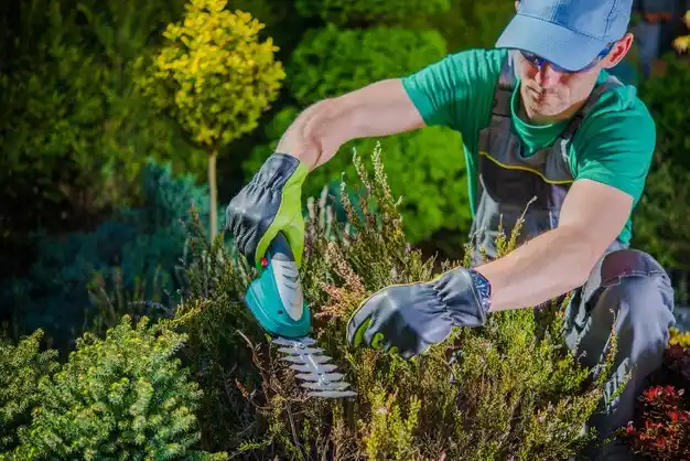 landscaping services Seaford